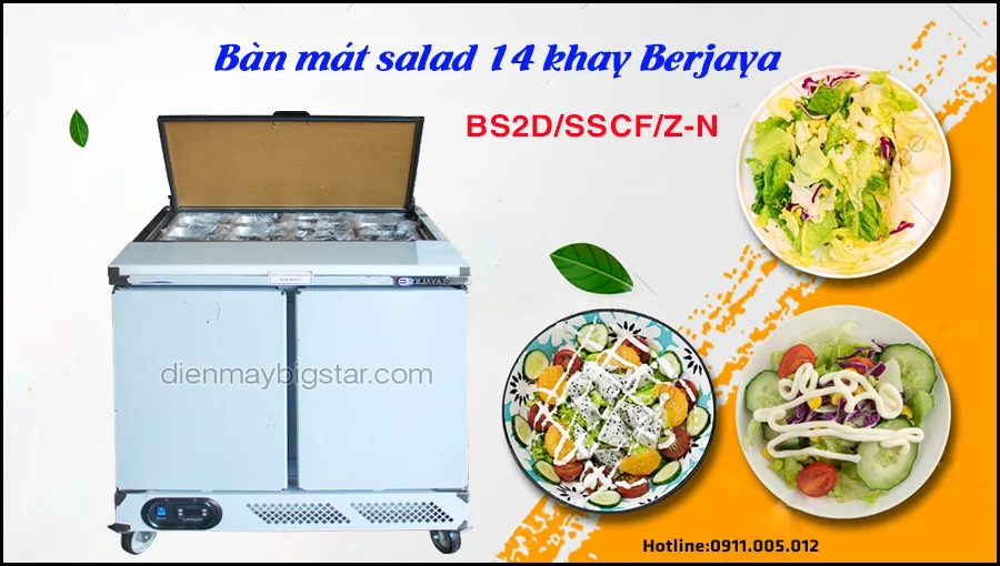 bàn mát salad BS2D/SSCF/Z-N